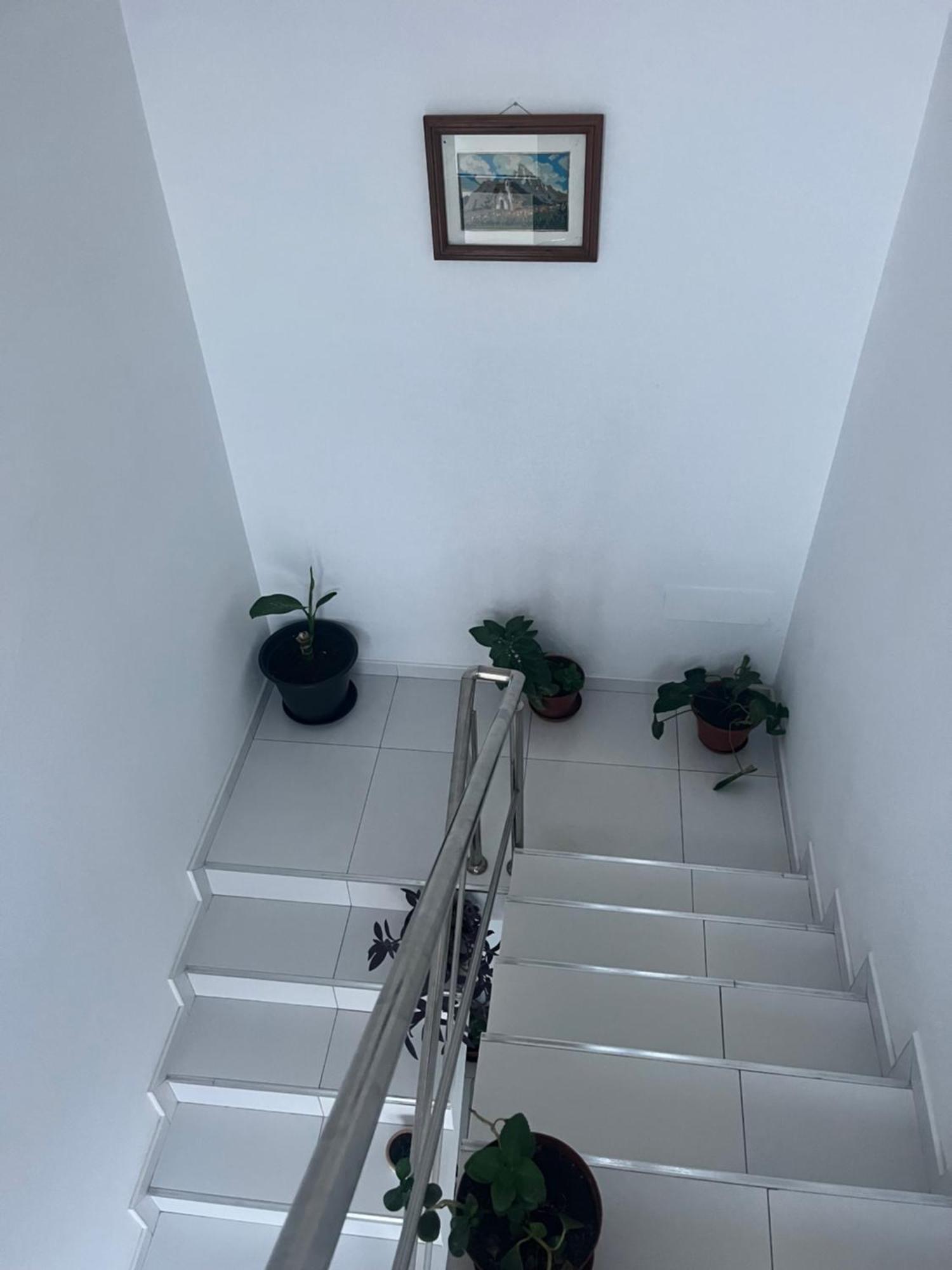 Oasis De Retour Apartment Ponta Do Sol Ngoại thất bức ảnh