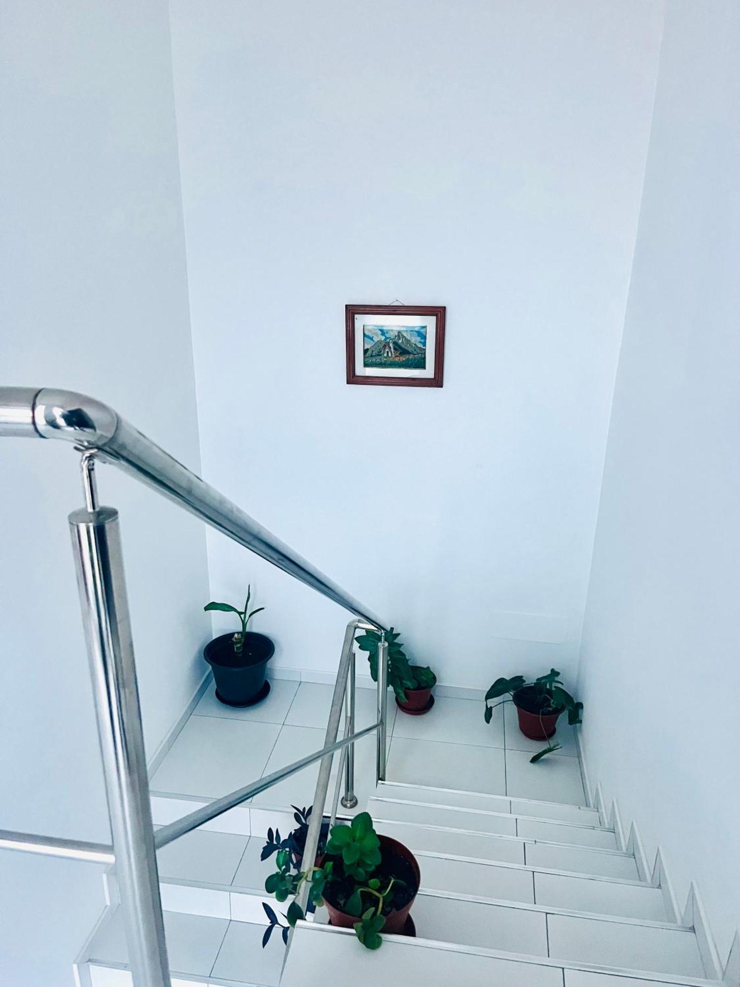 Oasis De Retour Apartment Ponta Do Sol Ngoại thất bức ảnh